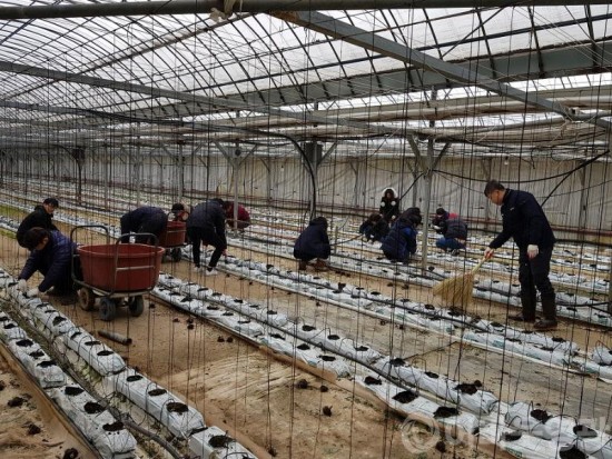 화재농가 봉사활동2.jpg