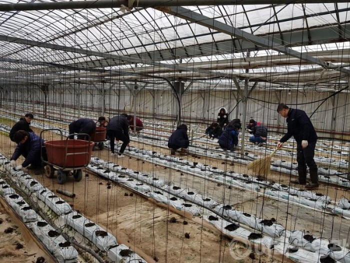 화재농가 봉사활동2.jpg