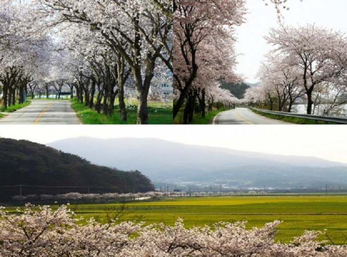 860_1003_4431 (1).jpg