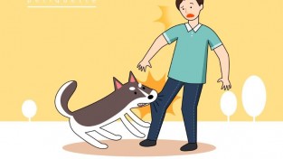 사본 -ti401a0402.jpg