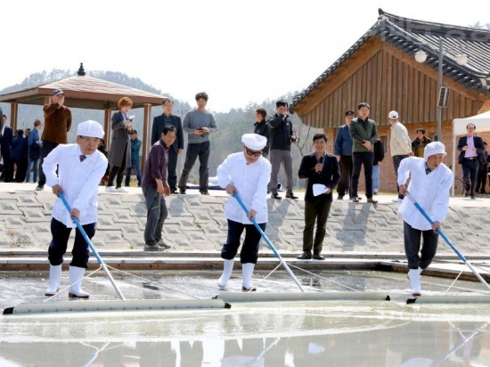 8.고품질 영광 천일염의 본격적인 생산을 알리는 채염 행사 개최-1.JPG