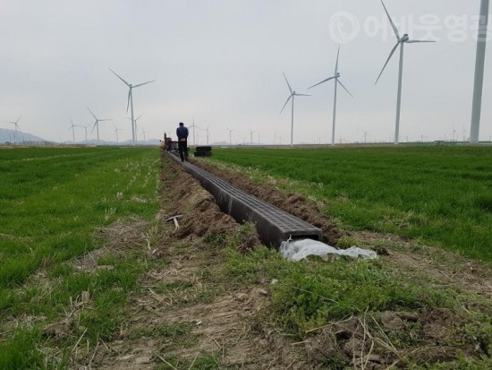 2.영광군, 논두렁 보호구 현장 시범 설치 연시회 개최-1.jpg