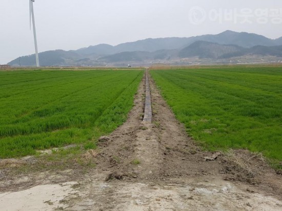 2.영광군, 논두렁 보호구 현장 시범 설치 연시회 개최-2.jpg