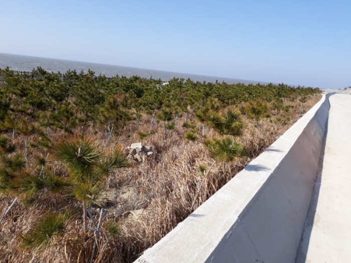 1.영광군, 산사태피해예방 및 산지관리 사방사업추진-2.jpg