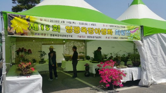 2.야생화전시회 보면서 꽃의 기운을 담아가세요!-1.jpeg