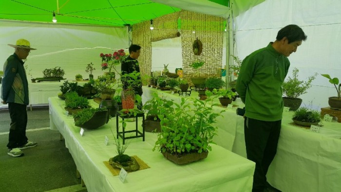 2.야생화전시회 보면서 꽃의 기운을 담아가세요!-3.jpeg