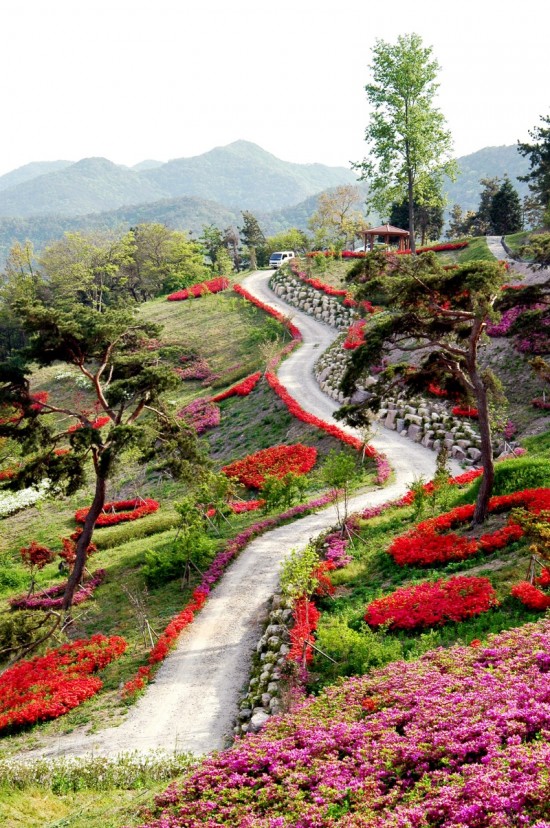 6.영광군, 설레는 봄 여행주간 운영(6경 숲쟁이공원).jpg