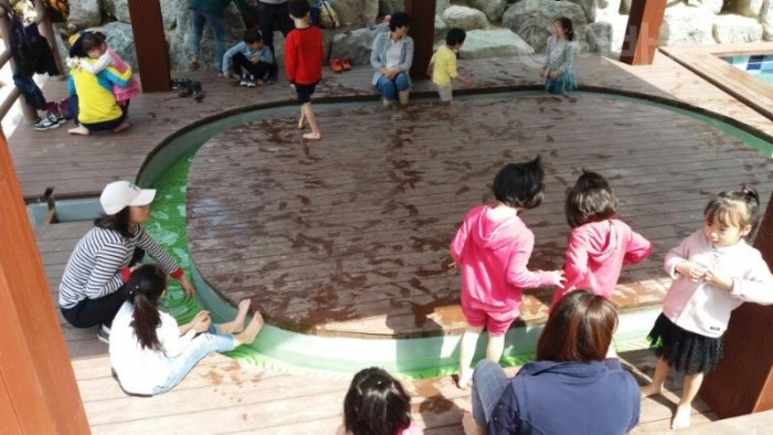 2.‘영광 물무산 행복숲’개장 2개월 여 만에 방문객 3만 돌파 목전(물놀이장).jpg