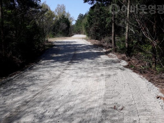 1.영광군, 임도구조개량 정비사업 추진으로 산림보호 및 산림복지기반 향상-3.jpg