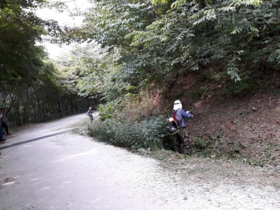 4.영광군, 임도 및 등산로 풀베기로 쾌적한 숲길 조성-1.jpg