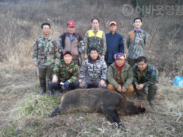 1.영광군, 농작물 수확기 유해야생동물 포획 총력전 펼쳐-2.jpg