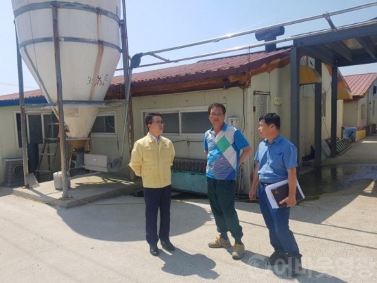 1.영광군, 혹서기 가축 폭염피해 최소화-1.JPG