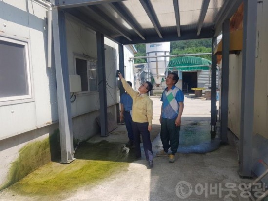 1.영광군, 혹서기 가축 폭염피해 최소화-2.JPG