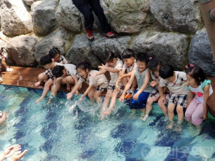 6.영광 물무산 행복숲 물놀이장 개장-3.jpg