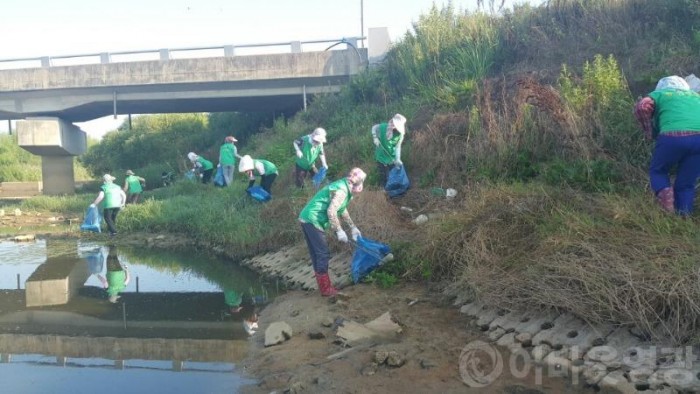 영광읍새마을부녀회 1단체 1하천 살리기 정화활동-2.jpg