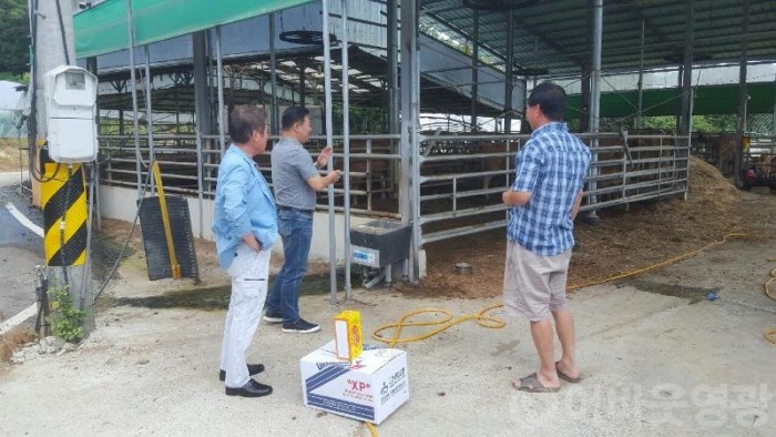 군서면, 가축 폭염 피해 예방 총력 대응.jpg
