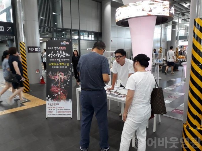 2.영광군, 상사화 축제 전국적 홍보 본격 돌입-1.jpg