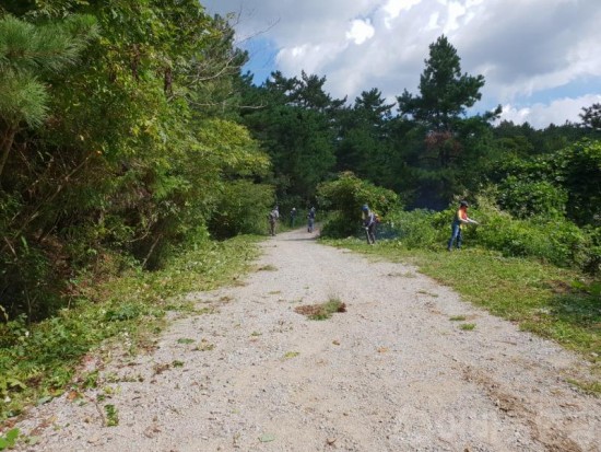 4.영광군, 추석명절 성묘객  편의제공 풀베기 작업실시-1.jpg