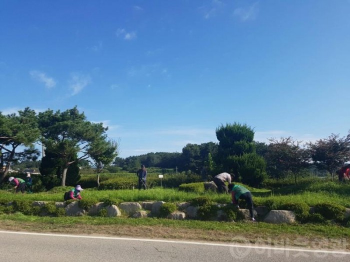 군서면 새마을협의회와 부녀회 추석맞이 소공원 정비.jpeg