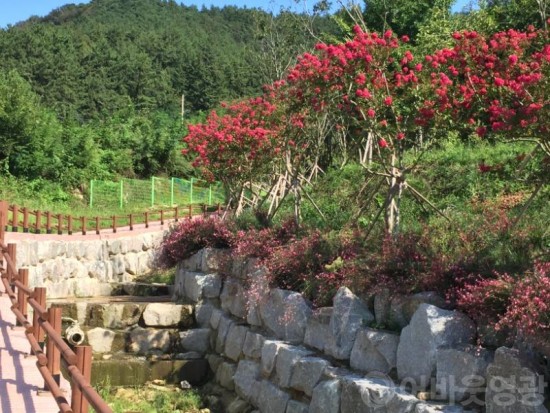 사진1 (물무산 꽃길).JPG