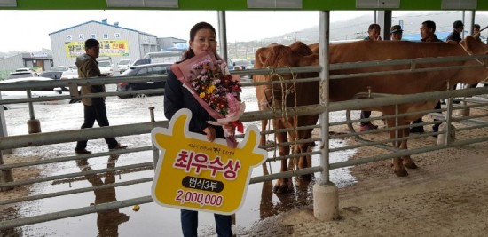 영광군, 전남한우경진대회서‘번식우’최우수상 수상-1.jpeg