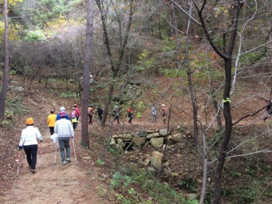 노르딕 워킹은 영광 물무산 행복숲이 최고-2.JPG