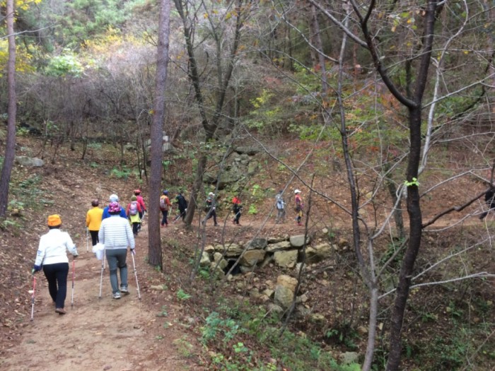 노르딕 워킹은 영광 물무산 행복숲이 최고-2.JPG