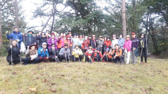 노르딕 워킹은 영광 물무산 행복숲이 최고-3.JPG