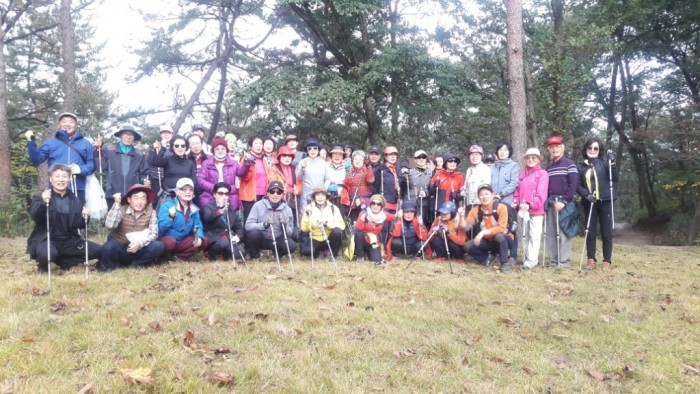 노르딕 워킹은 영광 물무산 행복숲이 최고-3.JPG