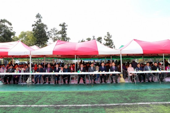 대마면 효화합한마당 2.JPG