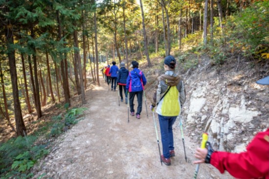 노르딕 걷기.jpg