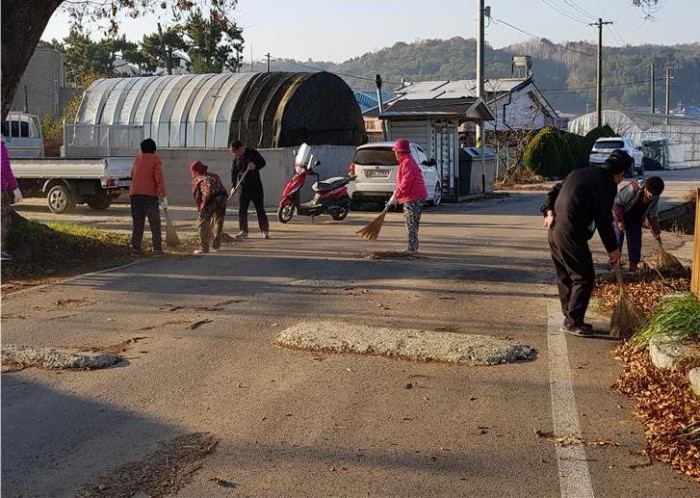마을환경개선(보라2리).jpg