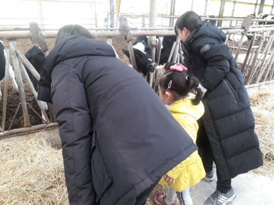 미르목장 체험.jpeg