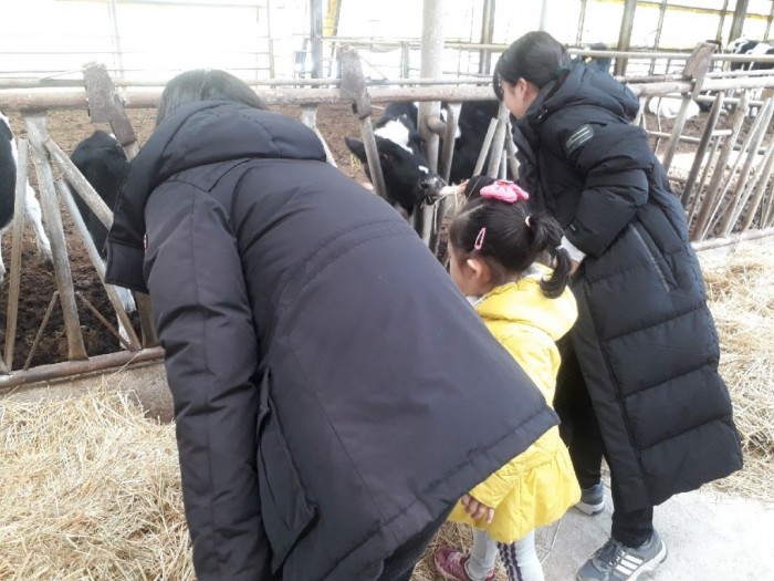 미르목장 체험.jpeg