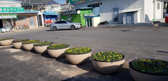 아름다운 홍농읍 만들기 위한 양심화분 설치 -2.jpeg