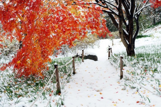 올 겨울, 낭만적인 영광으로 떠나자 1.jpg
