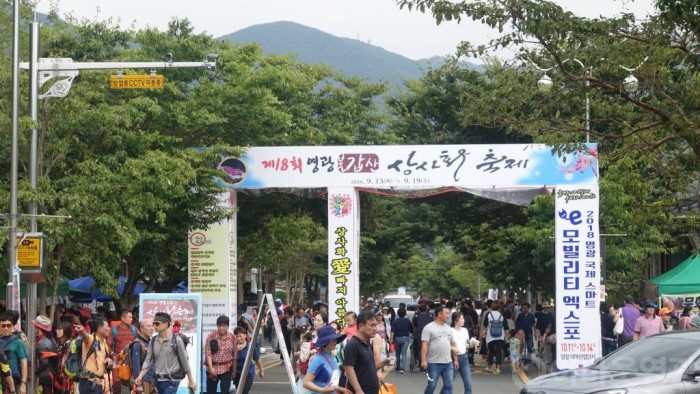 영광불갑산상사화축제, 지역경제 효자 노릇 ‘톡톡’ 2.jpg