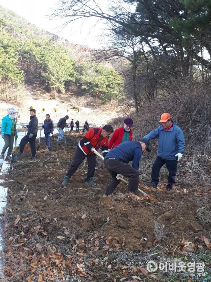 대마면 기관․사회단체 식목일 기념행사 2.jpg