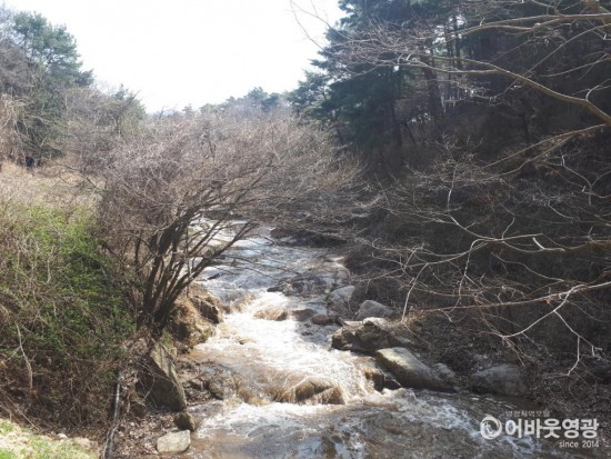 대마면 태청산 안골 계곡 6월 하순 개방.jpg