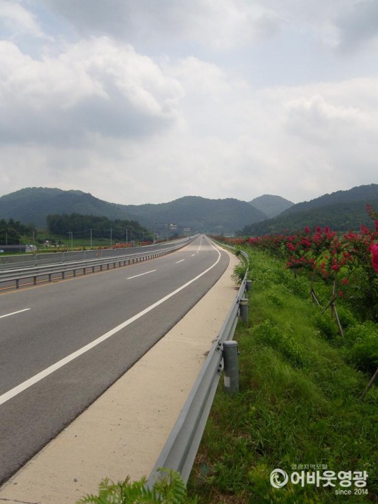 영광군, 미세먼지 저감하는 가로수 일제 정비 2.JPG