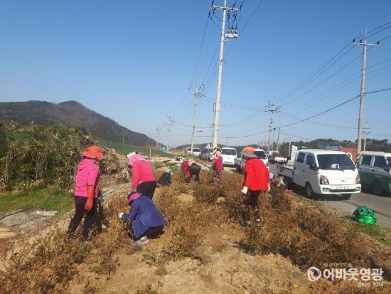 묘량면 장암산 철쭉제 손님맞이 한창 2.jpeg