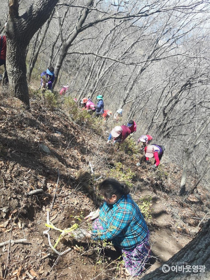 묘량면 장암산 철쭉제 손님맞이 한창 3.jpeg