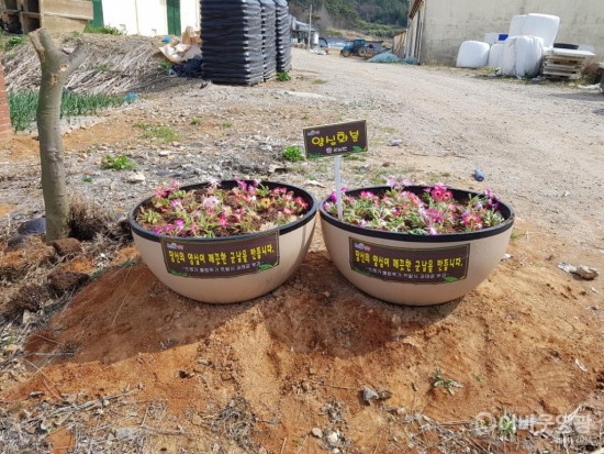 군남면, 쓰레기 불법투기 근절 ‘양심화분’ 설치 1.jpg