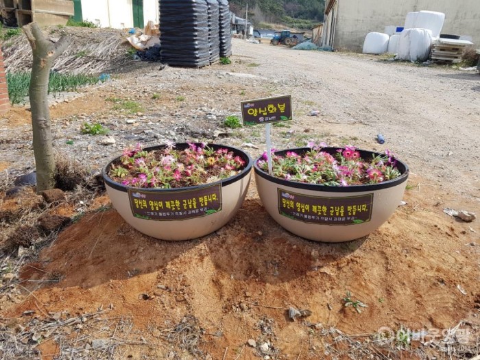 군남면, 쓰레기 불법투기 근절 ‘양심화분’ 설치 1.jpg