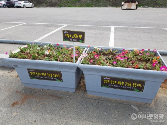 군남면, 쓰레기 불법투기 근절 ‘양심화분’ 설치 3.jpg