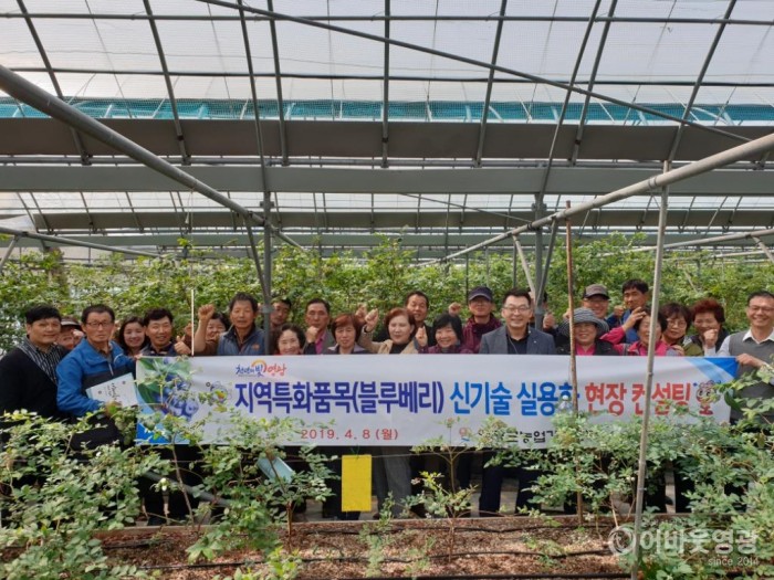 영광군, 지역특화품목(블루베리) 신기술 실용화 현장 컨설팅 실시 2.jpg