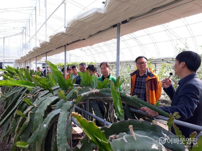 영광군, 한국농촌지도자영광군연합회 품목별 현장교육 실시 1.jpg