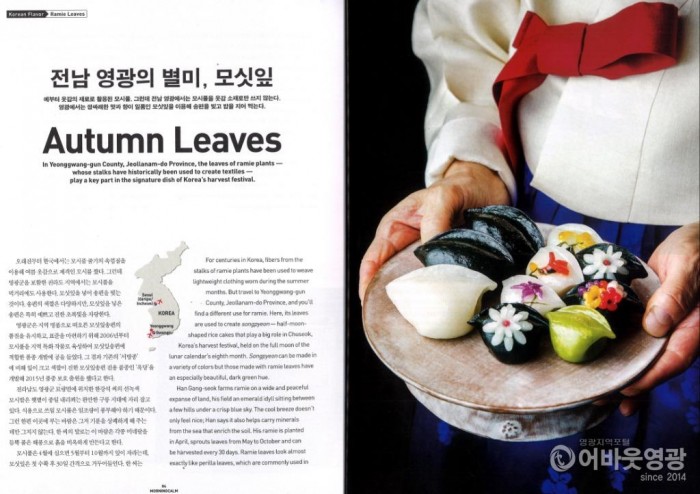 영광모싯잎송편, 세계인의 입맛도 사로잡을까 2.jpg