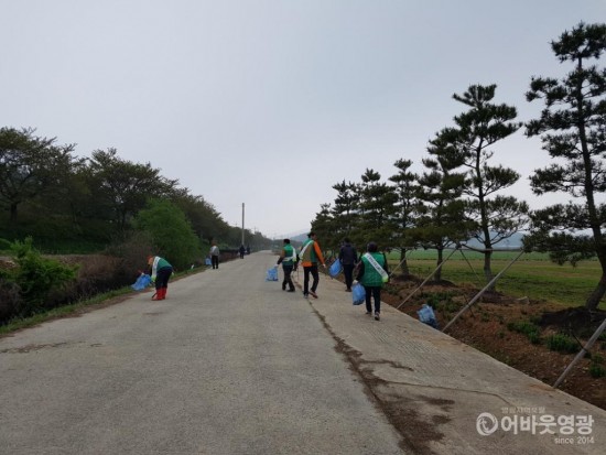 군남면, 찰보리 문화축제 관광객 맞이 환경정화활동 펼쳐 1.jpg