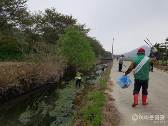 군남면, 찰보리 문화축제 관광객 맞이 환경정화활동 펼쳐 2.jpg